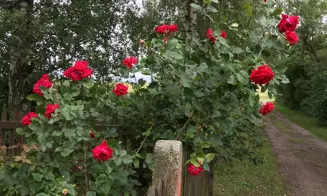 PODMYČE -  chalupa s bazénem - foto číslo 25