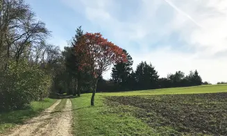 PODMYČE -  chalupa s bazénem - foto číslo 12