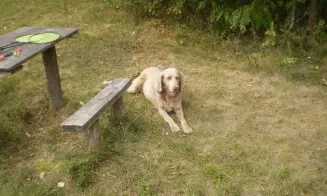 TRSTĚNICE - HÁJOVNA Z ROKU 1630 L.P. - foto číslo 7