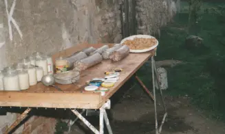 TRSTĚNICE - HÁJOVNA Z ROKU 1630 L.P. - foto číslo 11