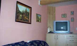 JEDOVNICE  - chata - foto číslo 13