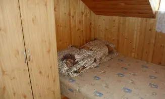 VRANOVSKÁ PŘEHRADA - BÍTOV - dvouchata - foto číslo 4