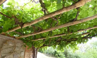 TĚŠETICE - chata - foto číslo 21