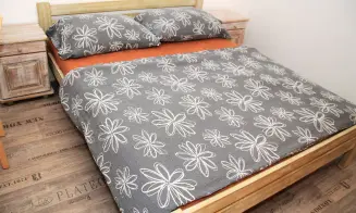 VRANOVSKÁ PŘEHRADA  - penzion - foto číslo 2