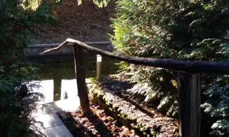 DOBŘÍNSKO - chata - foto číslo 2