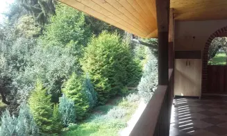 DOBŘÍNSKO - chata - foto číslo 29