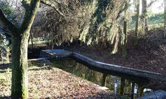 DOBŘÍNSKO - chata - foto číslo 20