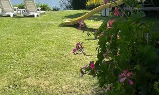 STRACHOTÍN - rekreační dům bez přítomnosti majitel - foto číslo 18