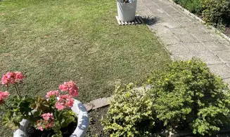 STRACHOTÍN - rekreační dům bez přítomnosti majitel - foto číslo 3