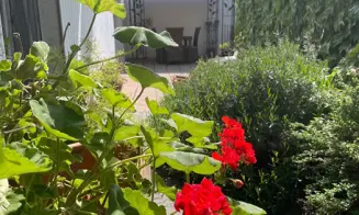 STRACHOTÍN - apartmán - foto číslo 9