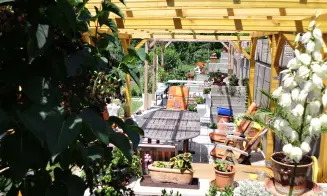 STRACHOTÍN - apartmán - foto číslo 10