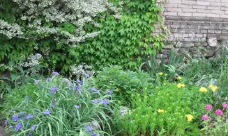 MORKŮVKY- rekreační dům se zapuštěným bazénem - foto číslo 10