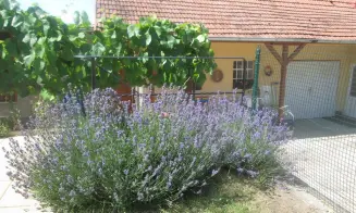 MORKŮVKY- rekreační dům se zapuštěným bazénem - foto číslo 18