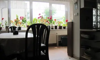 MORKŮVKY- rekreační dům se zapuštěným bazénem - foto číslo 11