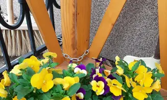 HOLŠTEJN - 2 apartmány - foto číslo 28