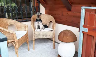 HOLŠTEJN - 2 apartmány - foto číslo 36