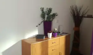 OSTROV U MACOCHY - 2 apartmány - foto číslo 9