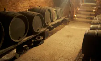 MUTĚNICE - vinný sklep - foto číslo 18