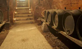 MUTĚNICE - vinný sklep - foto číslo 12