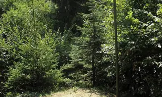 BŘESTEK - chata - foto číslo 7