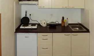 HORNÍ VĚSTONICE - apartmán - foto číslo 8