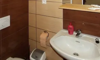 HORNÍ VĚSTONICE - apartmán - foto číslo 3