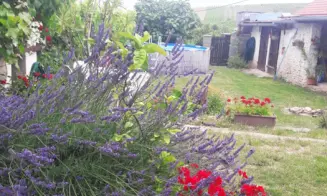 HORNÍ VĚSTONICE - apartmán - foto číslo 5