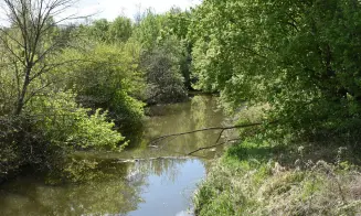TÝNEC U BŘECLAVI - chalupa - foto číslo 18