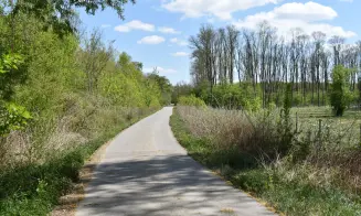 TÝNEC U BŘECLAVI - chalupa - foto číslo 3