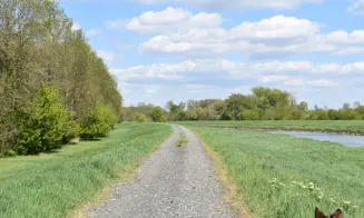 TÝNEC U BŘECLAVI - chalupa - foto číslo 17
