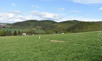 BŘEZINA U TIŠNOVA - chata - foto číslo 2