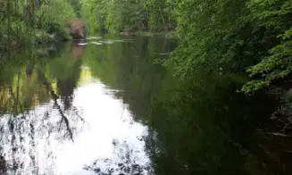 BŘEZINA U TIŠNOVA - chata - foto číslo 9