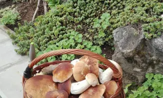 KORYČANY- chata - foto číslo 11