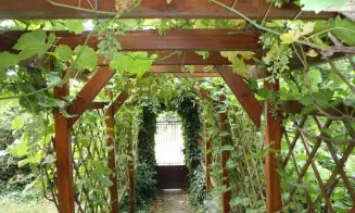 JEVIŠOVICE -  chata + apartmán - s přítomností maj - foto číslo 5