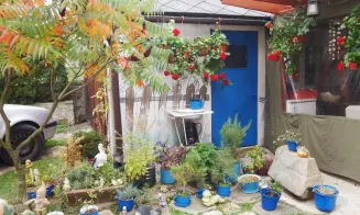 JEVIŠOVICE -  chata + apartmán - s přítomností maj - foto číslo 18