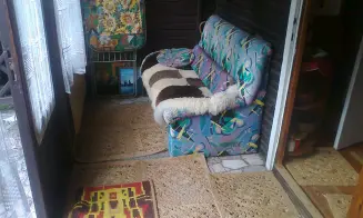 RUPRECHTOV - rybolov 20 m od chaty - foto číslo 4