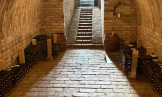 VELKÉ BÍLOVICE *** -  vinný sklep - foto číslo 17