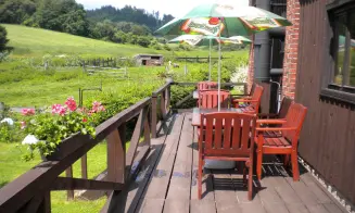 VLČICE U TRUTNOVA - chata - foto číslo 18