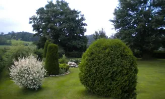 VLČICE U TRUTNOVA - chata - foto číslo 4