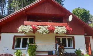 STARÉ BUKY - chata s bazénem - foto číslo 16