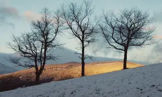 VÍTKOVICE - horská chalupa - foto číslo 30