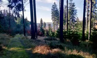 VÍTKOVICE - horská chalupa - foto číslo 28