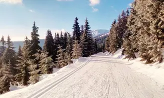 VÍTKOVICE - horská chalupa - foto číslo 15