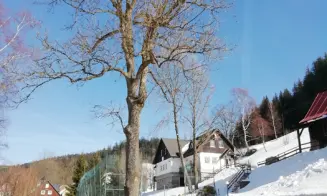 DOLNÍ LYSEČINY - chalupa - foto číslo 8