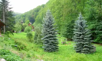 PRKENNÝ DŮL - ŽACLÉŘ - roubenka - foto číslo 2
