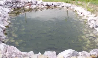 VRCHLABÍ -  3 chaty - 6 apartmánů - foto číslo 5