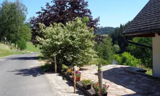 DOLNÍ LYSEČINY - 2 apartmány - foto číslo 14