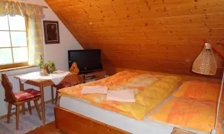 DOLNÍ LYSEČINY - 2 apartmány - foto číslo 15