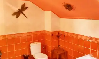 PŘIBYSLAV *** - chalupa - foto číslo 13