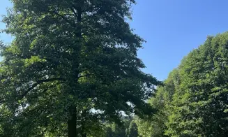 MOSTEK *** - apartmán - foto číslo 13